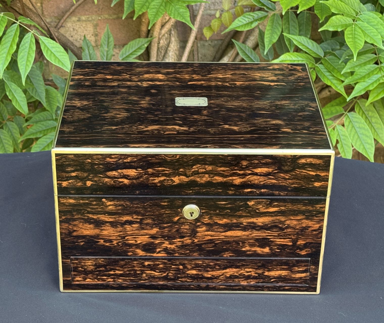 Antique Jewellery Box in Coromandel with Front & Side Drawer