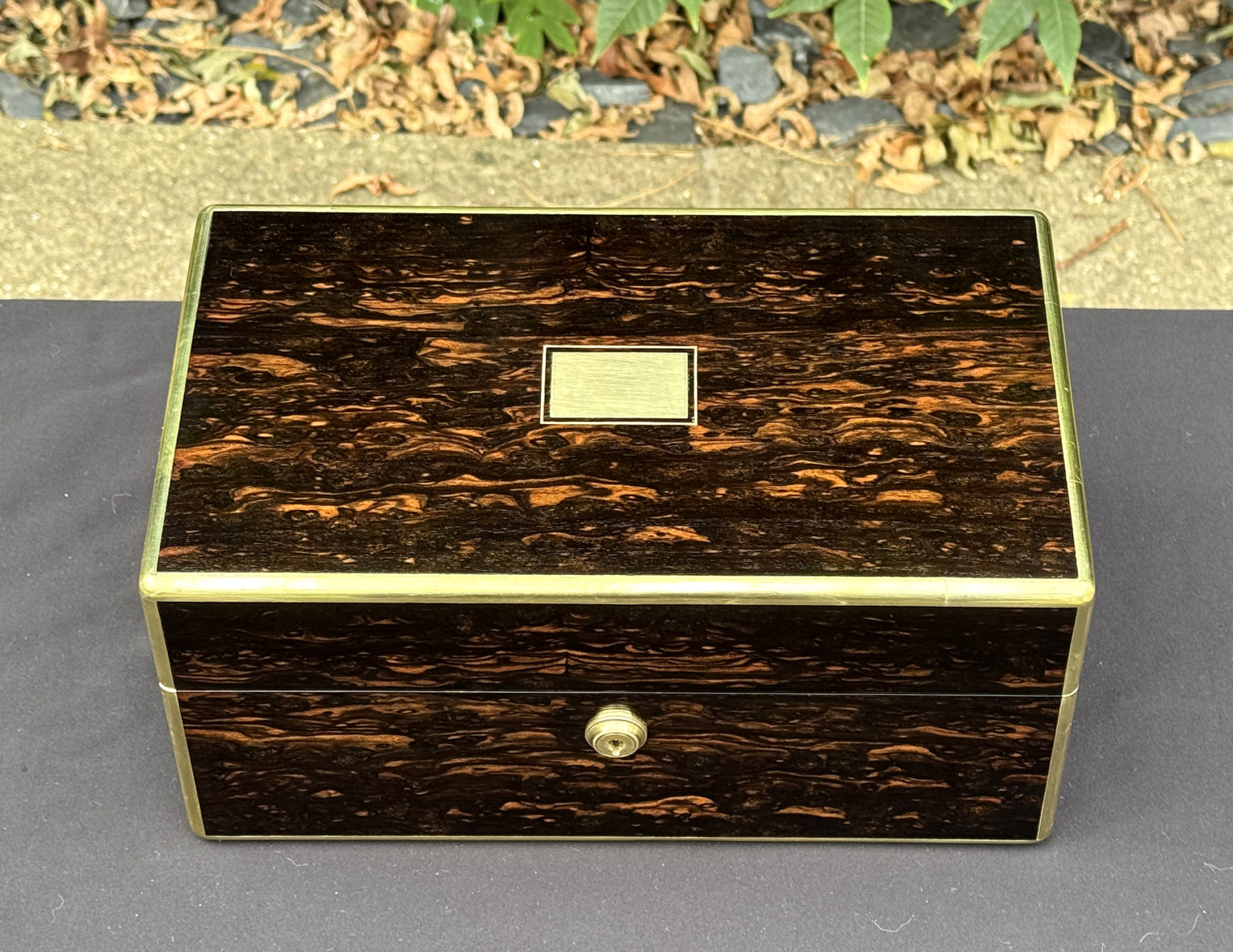 Overhead view of an antique gentleman's travelling jewellery box in coromandel, by Houghton & Gunn.