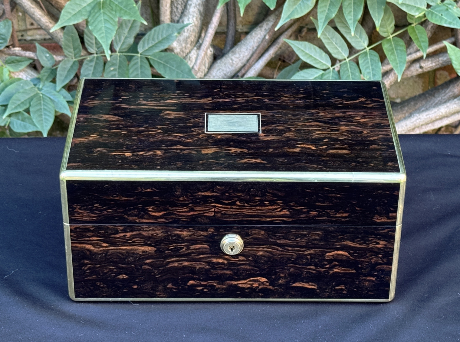 Front view of an antique gentleman's travelling jewellery box in coromandel, by Houghton & Gunn.