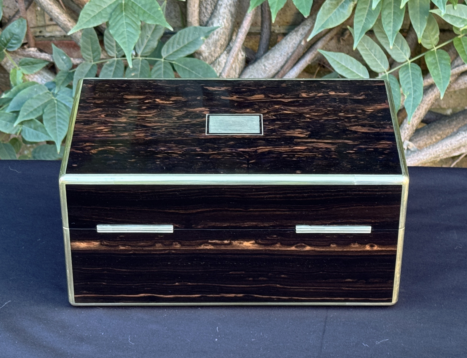Rear view of an antique gentleman's travelling jewellery box in coromandel, by Houghton & Gunn.
