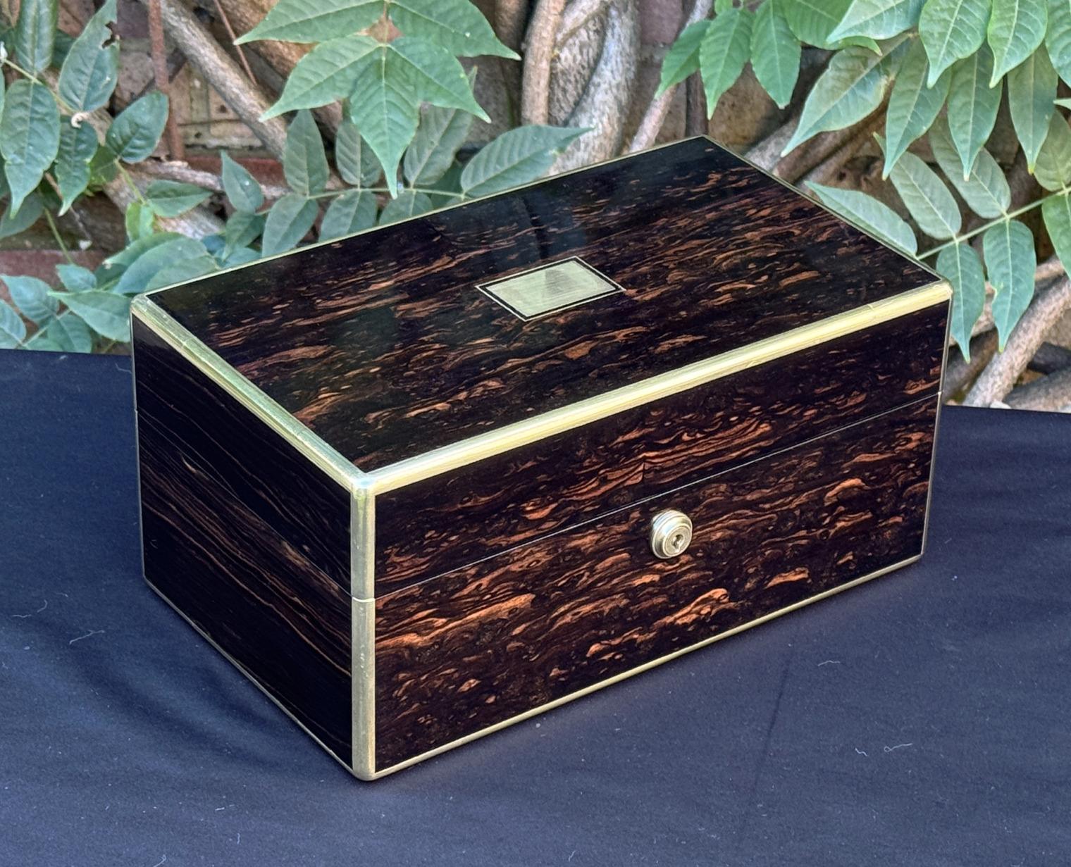 Front left view of an antique gentleman's travelling jewellery box in coromandel, by Houghton & Gunn.