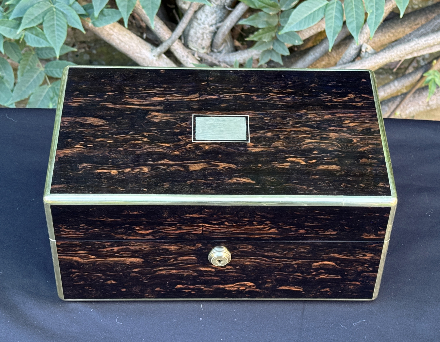 Overhead view of an antique gentleman's travelling jewellery box in coromandel, by Houghton & Gunn.