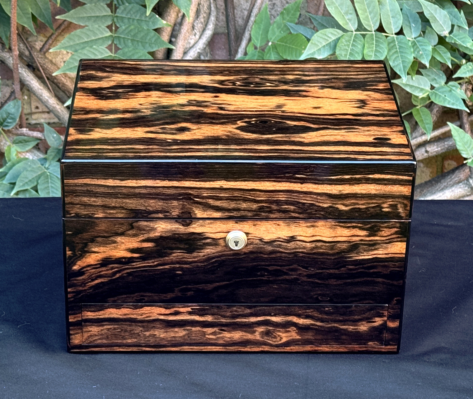 Front view of an antique jewellery box in calamander, by George Betjemann & Sons.