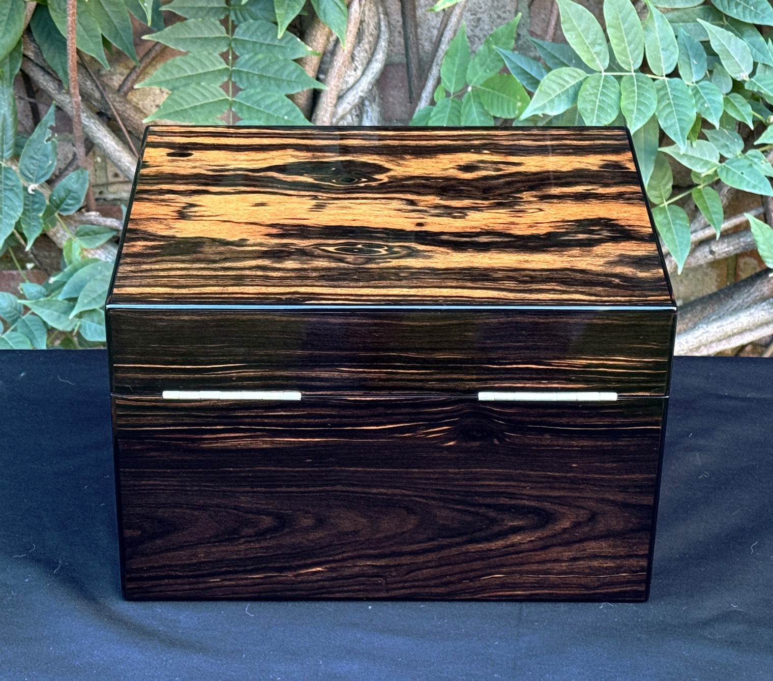 Rear view of an antique jewellery box in calamander, by George Betjemann & Sons.