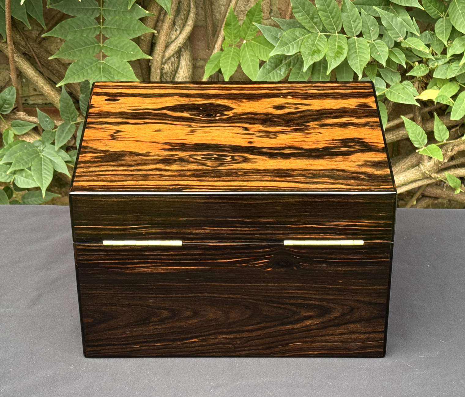 Rear view of an antique jewellery box in calamander, by George Betjemann & Sons.