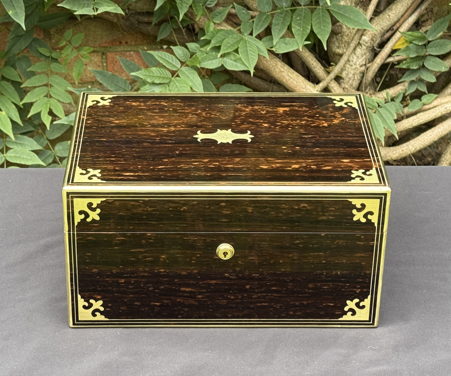 Front view of an antique jewellery box in coromandel, by Thomas Dalton.