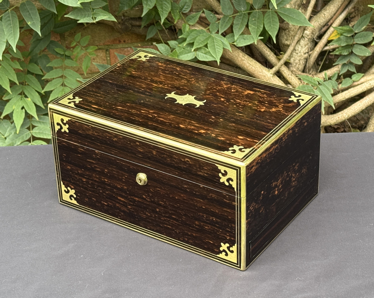 Front right view of an antique jewellery box in coromandel, by Thomas Dalton.