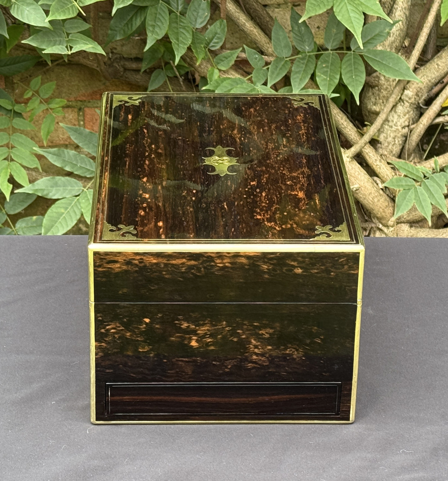 Right side view of an antique jewellery box in coromandel, by Thomas Dalton.