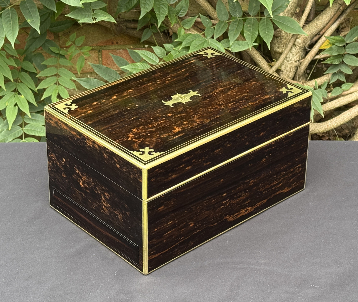 Rear right view of an antique jewellery box in coromandel, by Thomas Dalton.