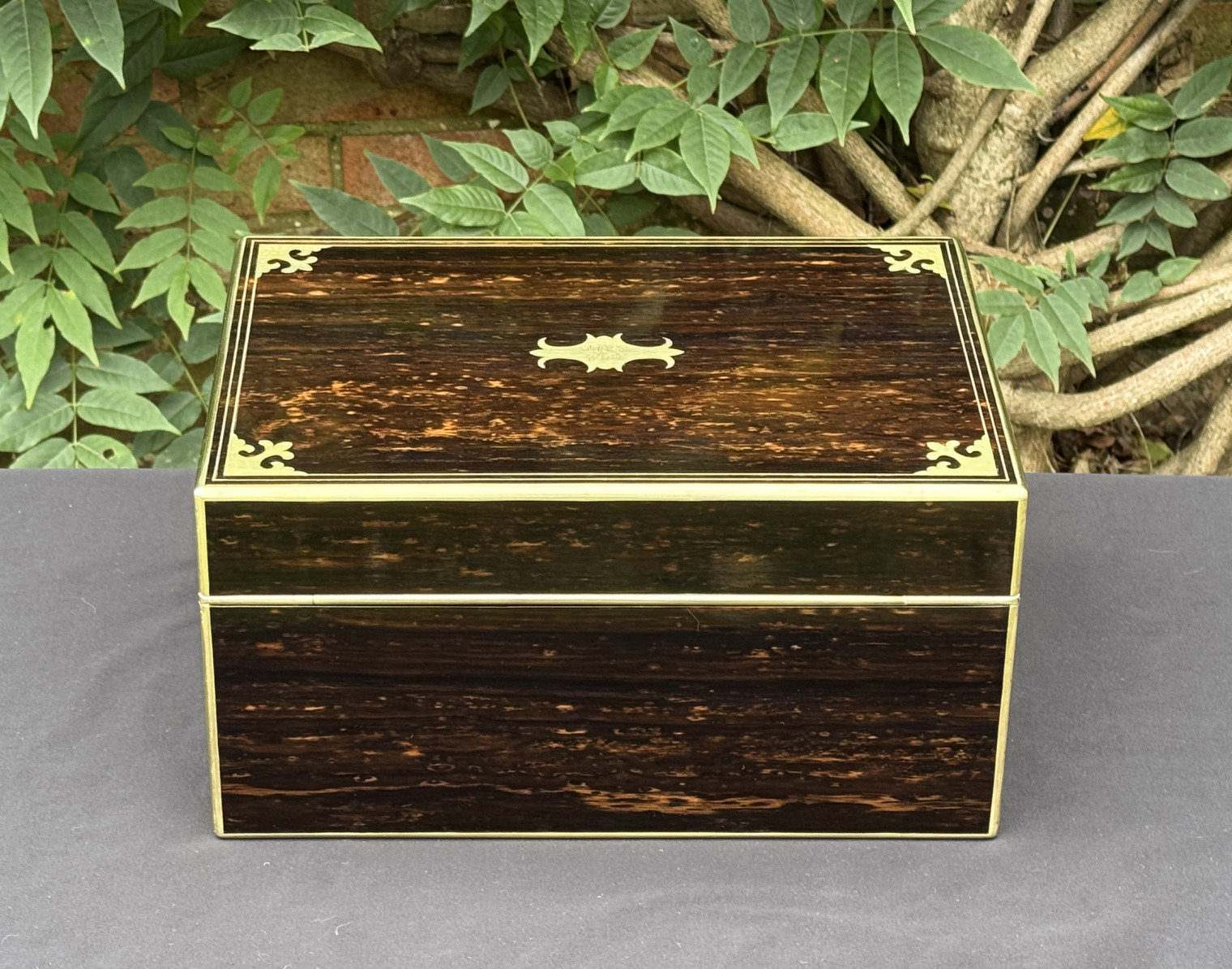 Rear view of an antique jewellery box in coromandel, by Thomas Dalton.