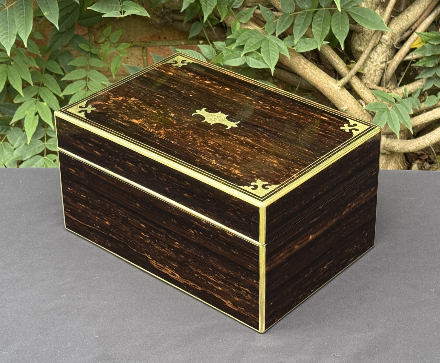 Rear left view of an antique jewellery box in coromandel, by Thomas Dalton.