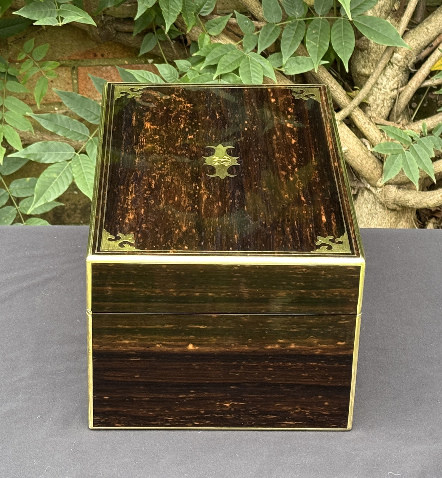 Left side view of an antique jewellery box in coromandel, by Thomas Dalton.