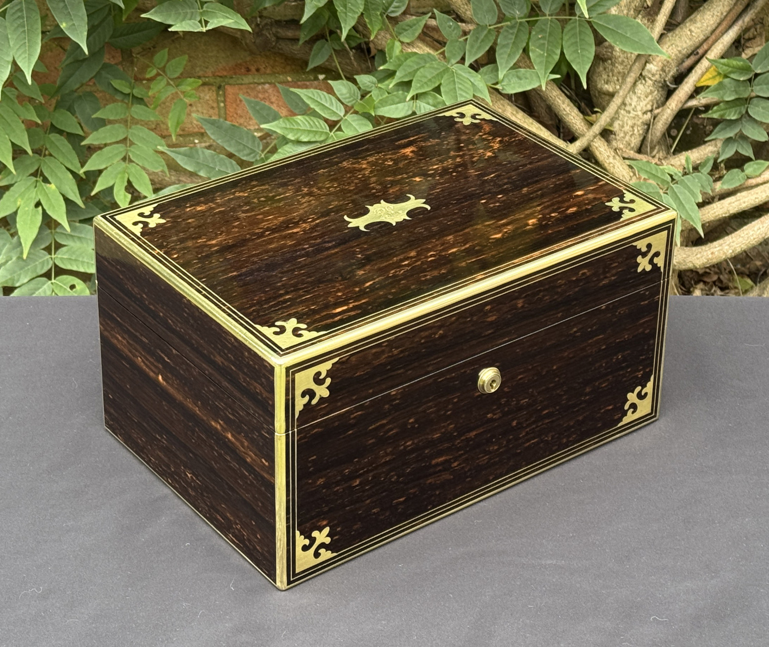 Front left view of an antique jewellery box in coromandel, by Thomas Dalton.