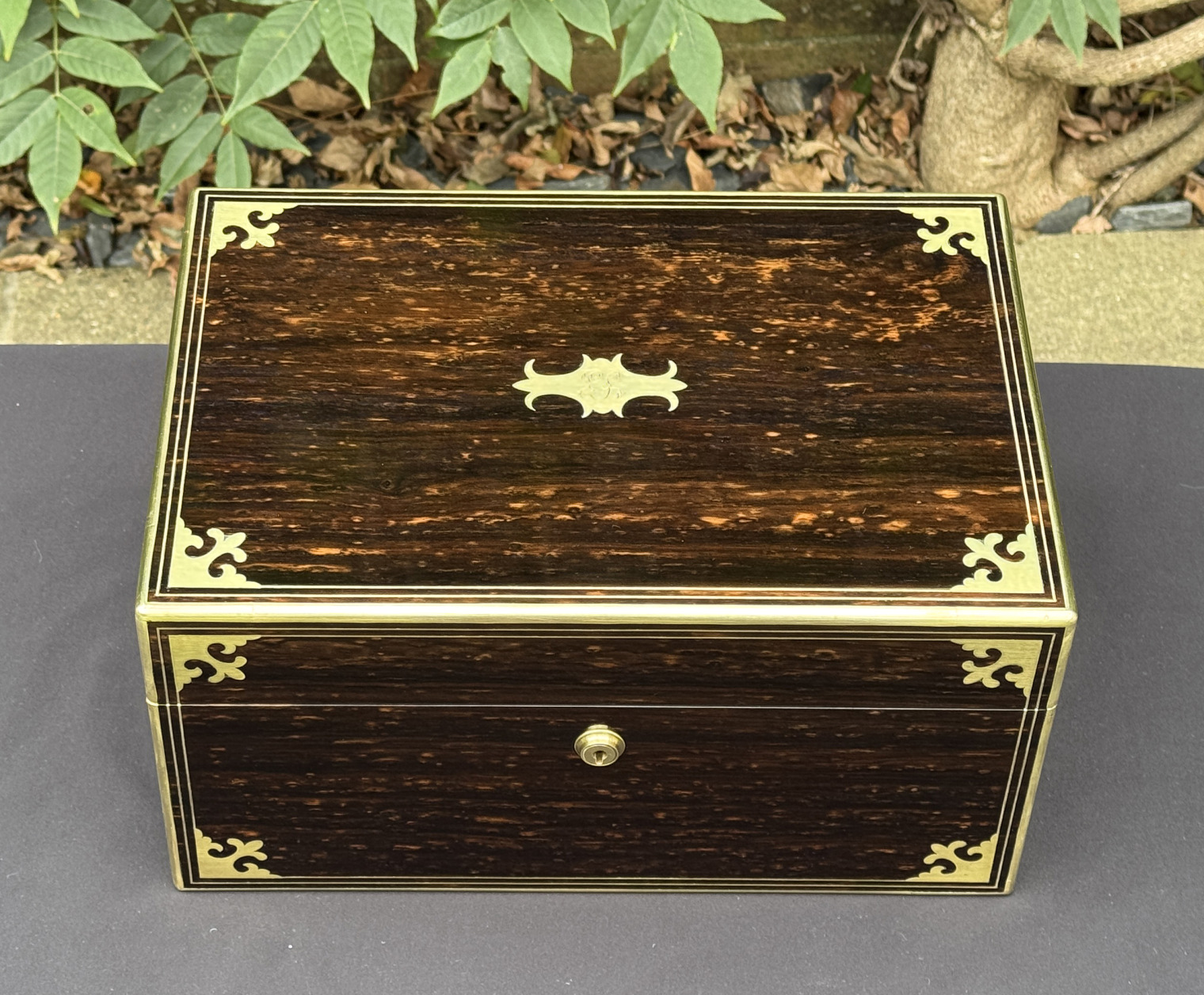 Overhead view of an antique jewellery box in coromandel, by Thomas Dalton.