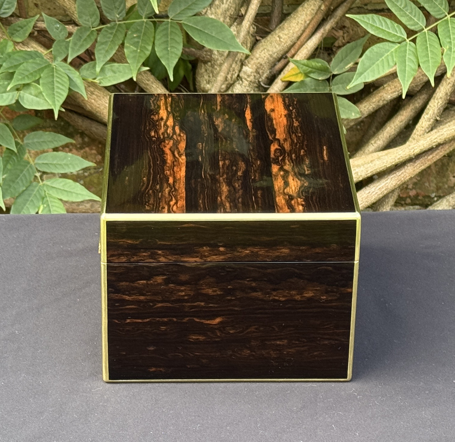 Left side view of a miniature antique jewellery box in coromandel, by George Betjemann & Sons.