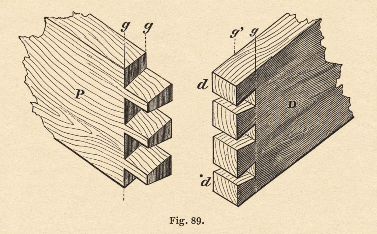 The separate components of a dovetail joint, showing the pins (P) and corresponding dovetails (D).